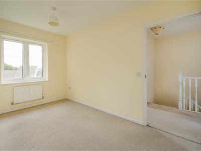 Picture 13